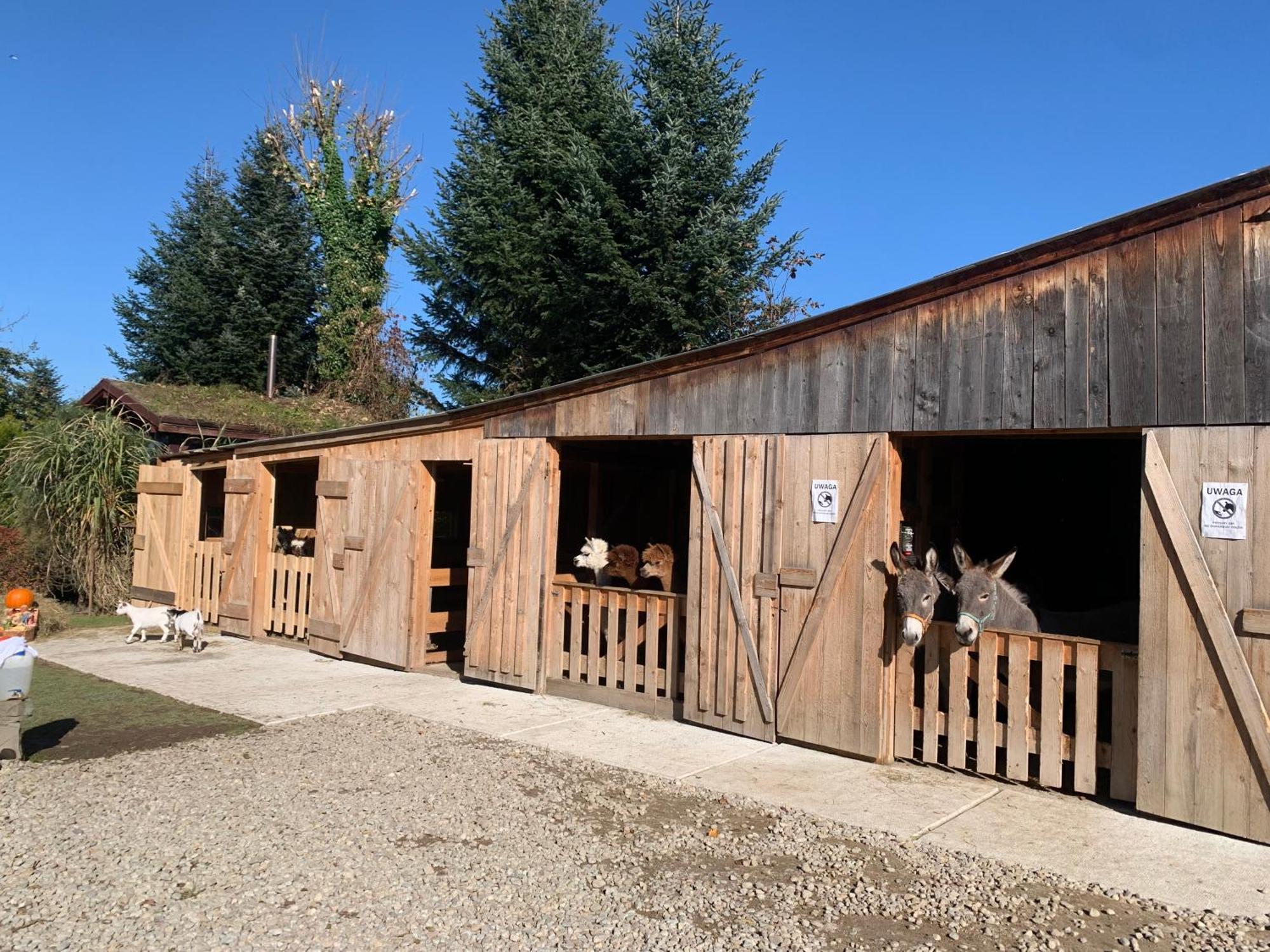 Pokoje Goscinne Jurgowianka Exterior photo